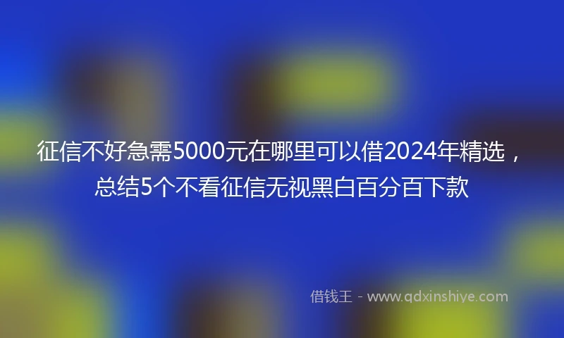 征信不好急需5000元在哪里可以借2024年精选，总结5个不看征信无视黑白百分百下款