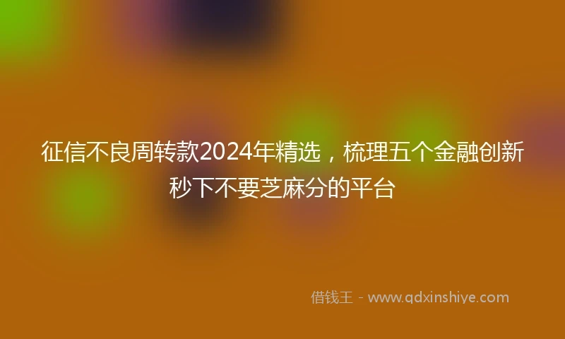 征信不良周转款2024年精选，梳理五个金融创新秒下不要芝麻分的平台