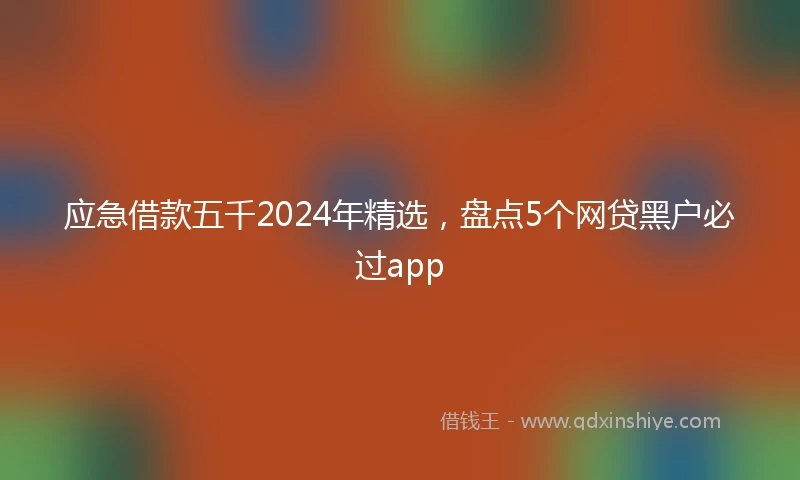 应急借款五千2024年精选，盘点5个网贷黑户必过app