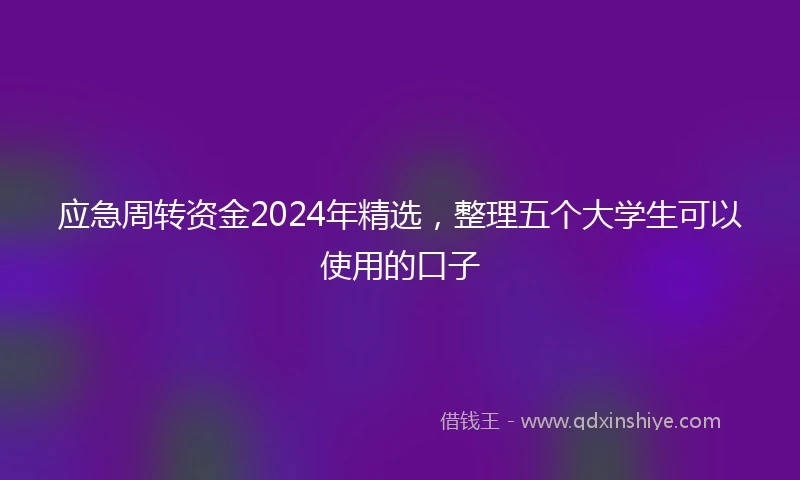 应急周转资金2024年精选，整理五个大学生可以使用的口子