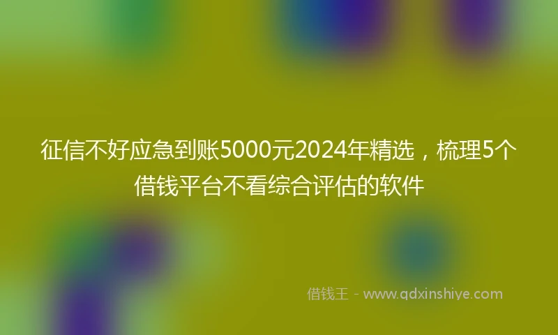 征信不好应急到账5000元2024年精选，梳理5个借钱平台不看综合评估的软件