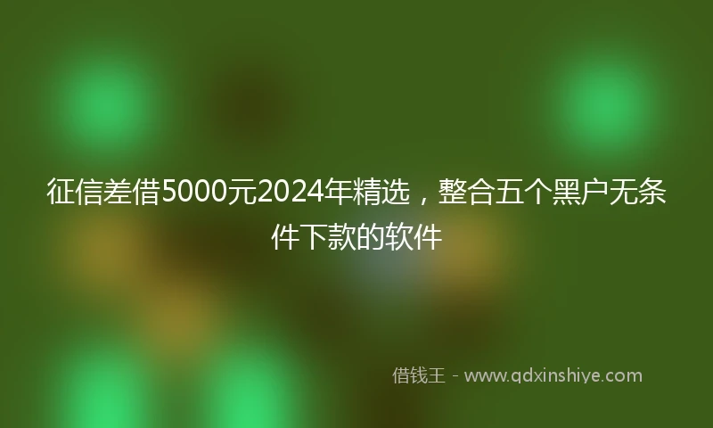 征信差借5000元2024年精选，整合五个黑户无条件下款的软件