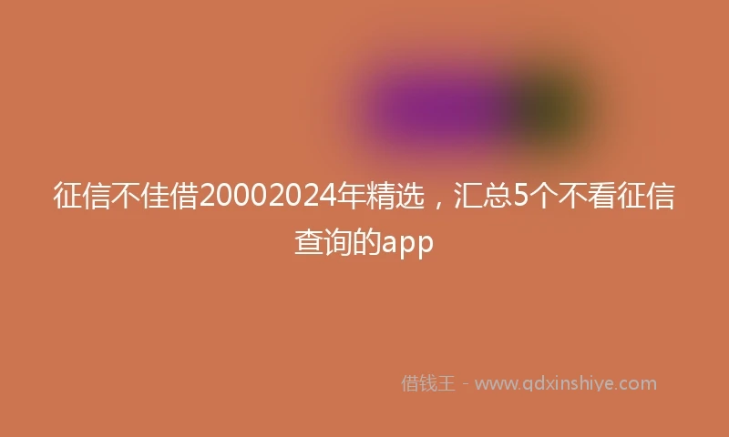 征信不佳借20002024年精选，汇总5个不看征信查询的app