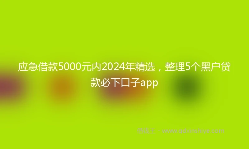 应急借款5000元内2024年精选，整理5个黑户贷款必下口子app