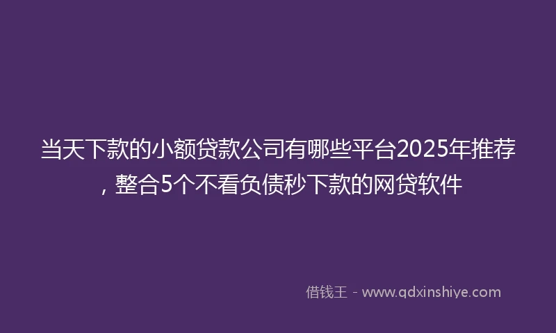 当天下款的小额贷款公司有哪些平台2025年推荐，整合5个不看负债秒下款的网贷软件