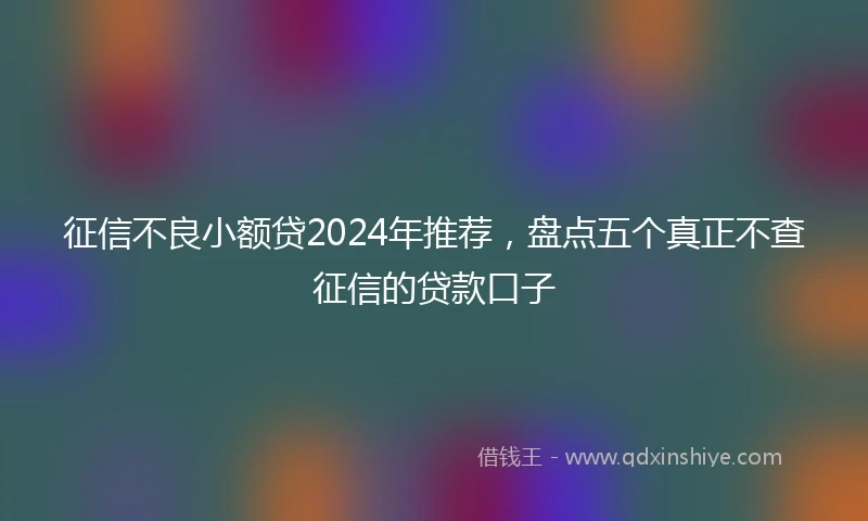 征信不良小额贷2024年推荐，盘点五个真正不查征信的贷款口子