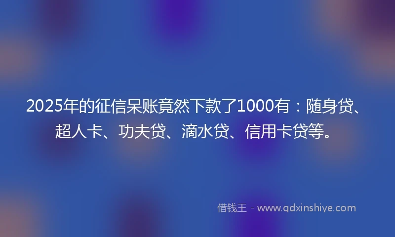 2025年的征信呆账竟然下款了1000有：随身贷、超人卡、功夫贷、滴水贷、信用卡贷等。