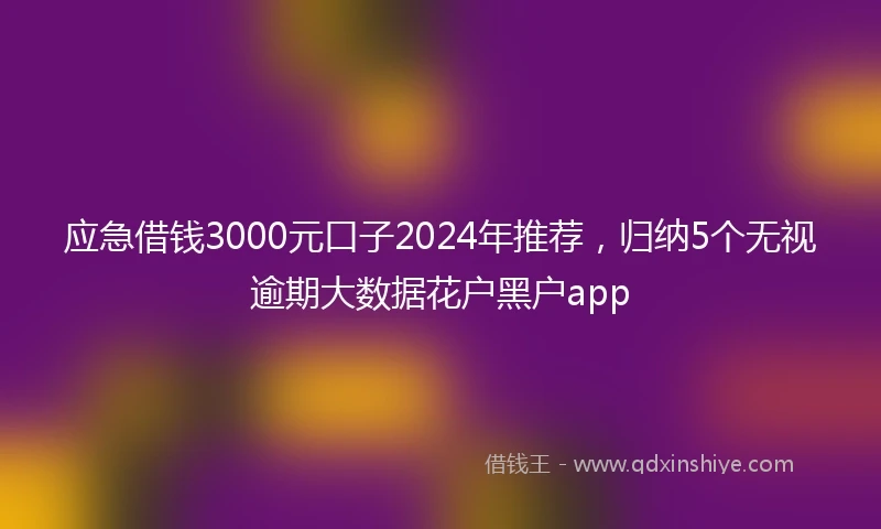 应急借钱3000元口子2024年推荐，归纳5个无视逾期大数据花户黑户app