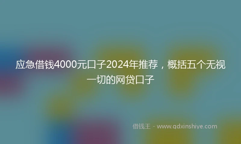 应急借钱4000元口子2024年推荐，概括五个无视一切的网贷口子