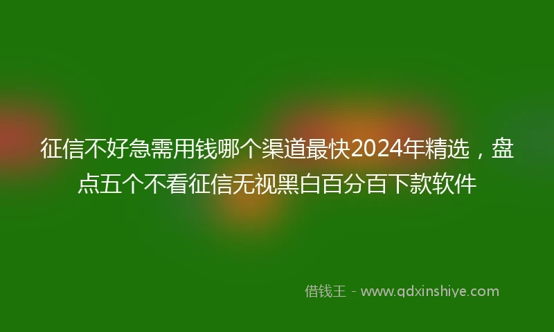 征信不好急需用钱哪个渠道最快2024年精选，盘点五个不看征信无视黑白百分百下款软件
