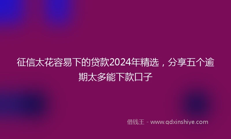 征信太花容易下的贷款2024年精选，分享五个逾期太多能下款口子