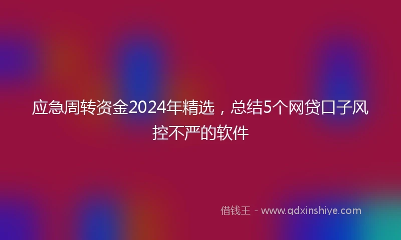 应急周转资金2024年精选，总结5个网贷口子风控不严的软件