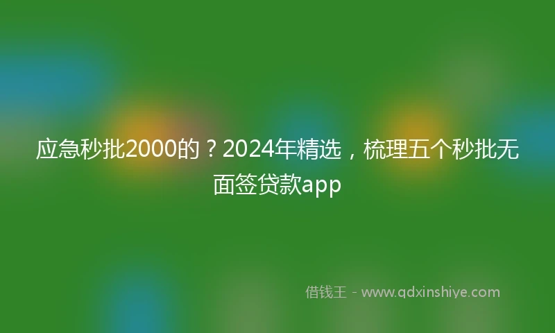 应急秒批2000的？2024年精选，梳理五个秒批无面签贷款app