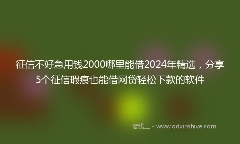 征信不好急用钱2000哪里能借2024年精选，分享5个征信瑕疵也能借网贷轻松下款的软件