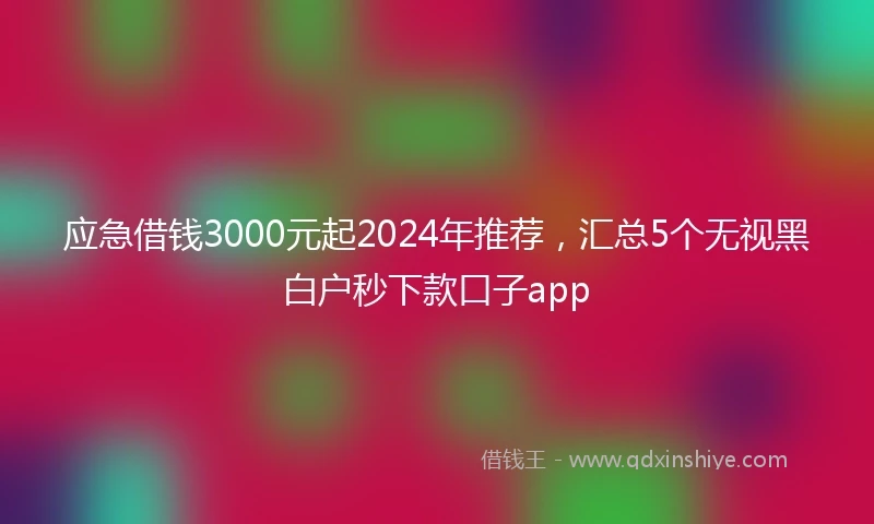 应急借钱3000元起2024年推荐，汇总5个无视黑白户秒下款口子app