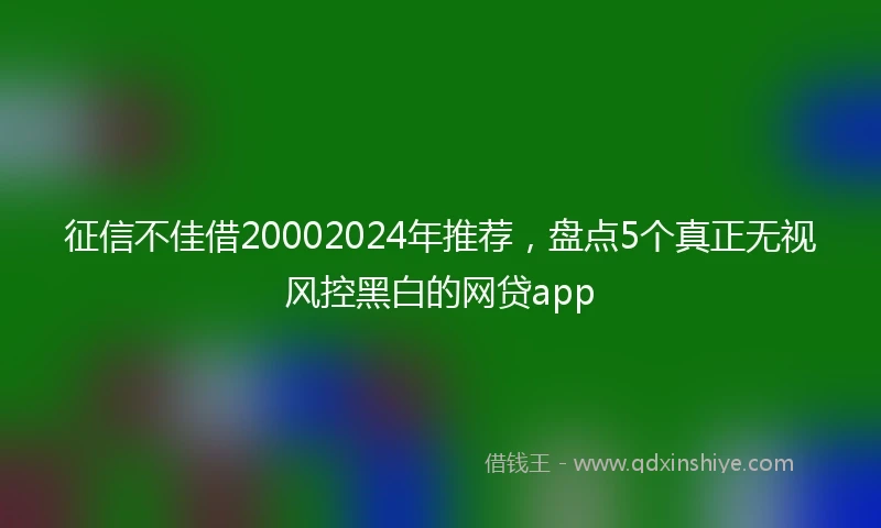 征信不佳借20002024年推荐，盘点5个真正无视风控黑白的网贷app