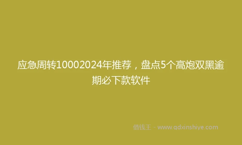 应急周转10002024年推荐，盘点5个高炮双黑逾期必下款软件