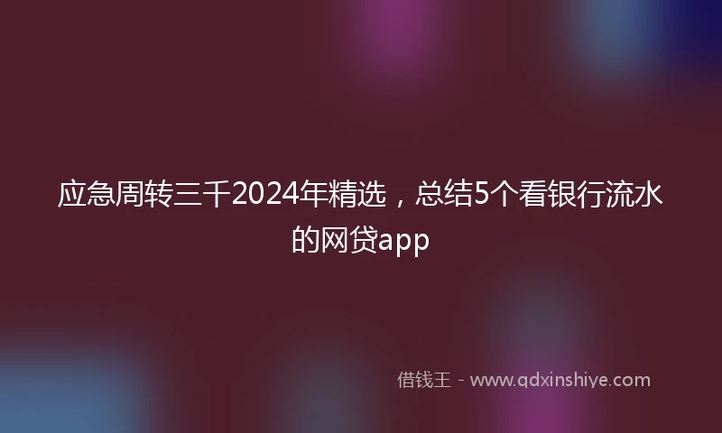 应急周转三千2024年精选，总结5个看银行流水的网贷app