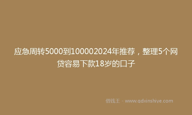 应急周转5000到100002024年推荐，整理5个网贷容易下款18岁的口子