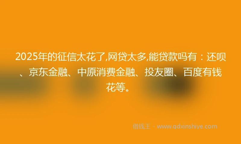 2025年的征信太花了,网贷太多,能贷款吗有：还呗、京东金融、中原消费金融、投友圈、百度有钱花等。