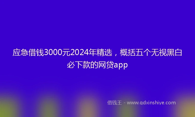 应急借钱3000元2024年精选，概括五个无视黑白必下款的网贷app
