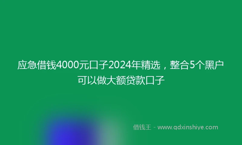 应急借钱4000元口子2024年精选，整合5个黑户可以做大额贷款口子