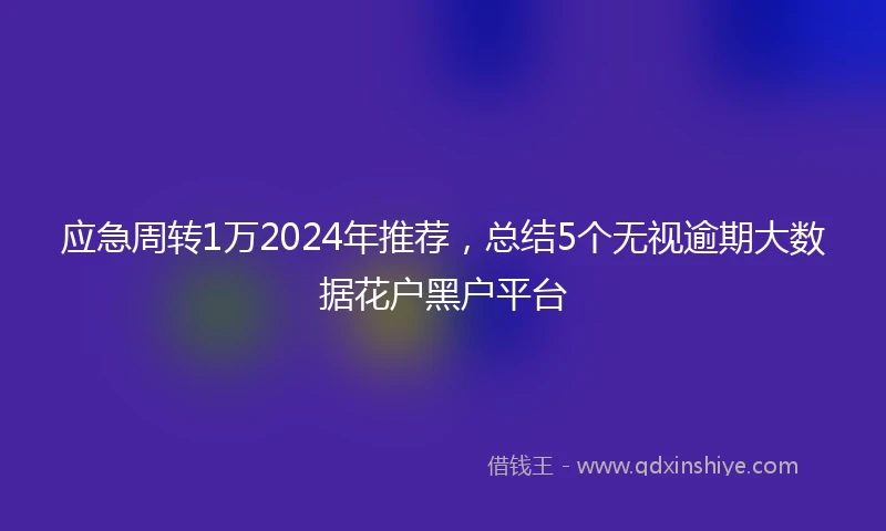 应急周转1万2024年推荐，总结5个无视逾期大数据花户黑户平台