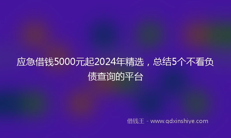 应急借钱5000元起2024年精选，总结5个不看负债查询的平台