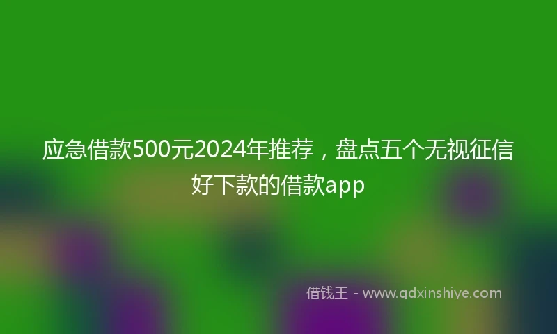 应急借款500元2024年推荐，盘点五个无视征信好下款的借款app