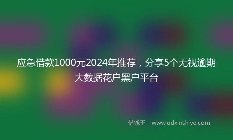 应急借款1000元2024年推荐，分享5个无视逾期大数据花户黑户平台