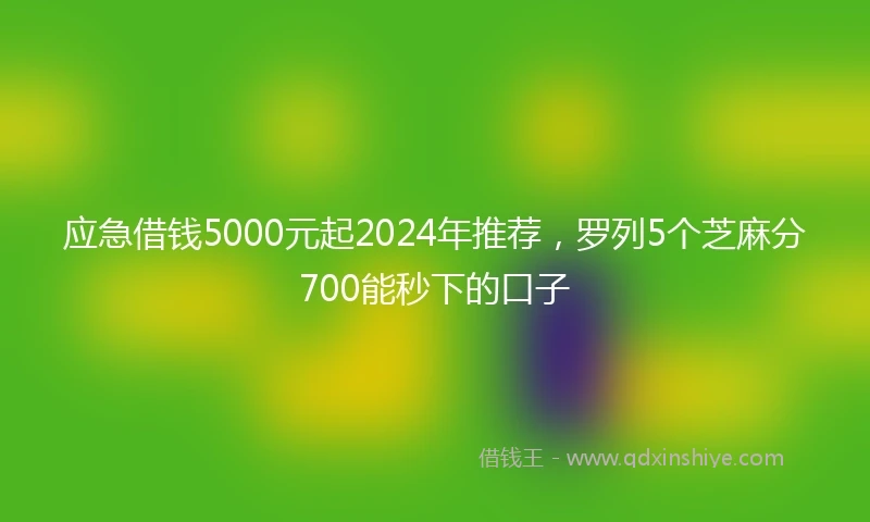 应急借钱5000元起2024年推荐，罗列5个芝麻分700能秒下的口子
