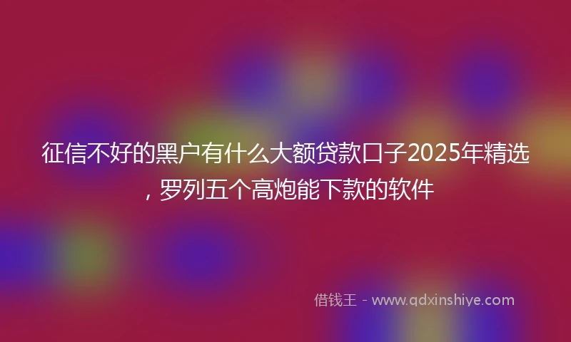 征信不好的黑户有什么大额贷款口子2025年精选，罗列五个高炮能下款的软件