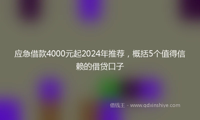 应急借款4000元起2024年推荐，概括5个值得信赖的借贷口子