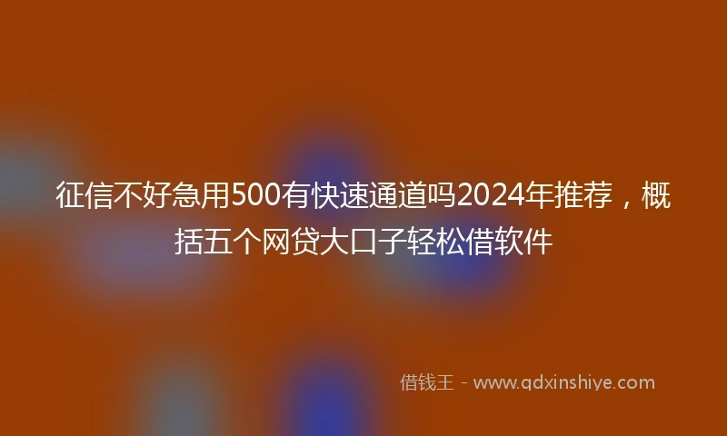 征信不好急用500有快速通道吗2024年推荐，概括五个网贷大口子轻松借软件