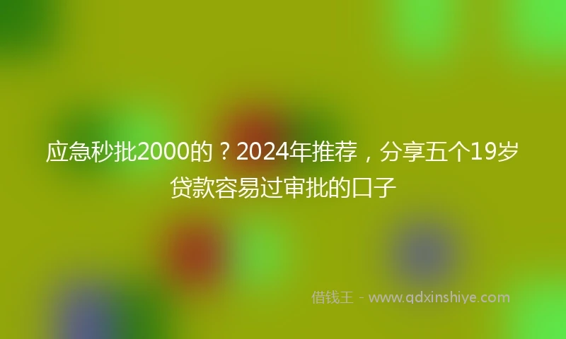 应急秒批2000的？2024年推荐，分享五个19岁贷款容易过审批的口子