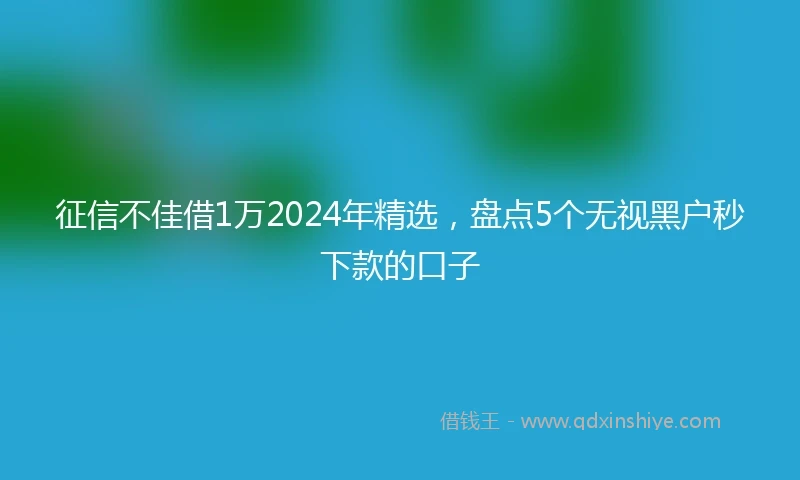 征信不佳借1万2024年精选，盘点5个无视黑户秒下款的口子