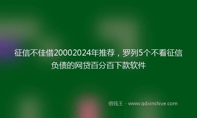 征信不佳借20002024年推荐，罗列5个不看征信负债的网贷百分百下款软件