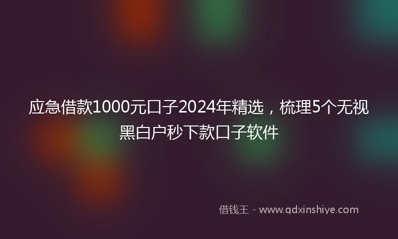 应急借款1000元口子2024年精选，梳理5个无视黑白户秒下款口子软件