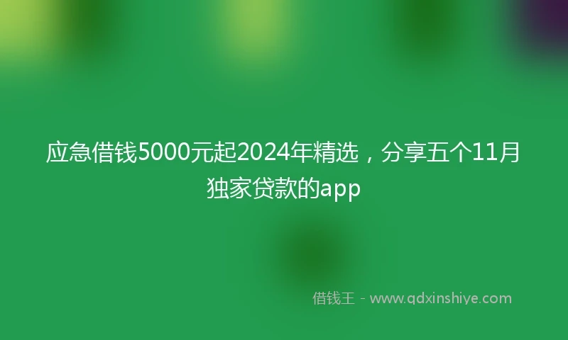 应急借钱5000元起2024年精选，分享五个11月独家贷款的app