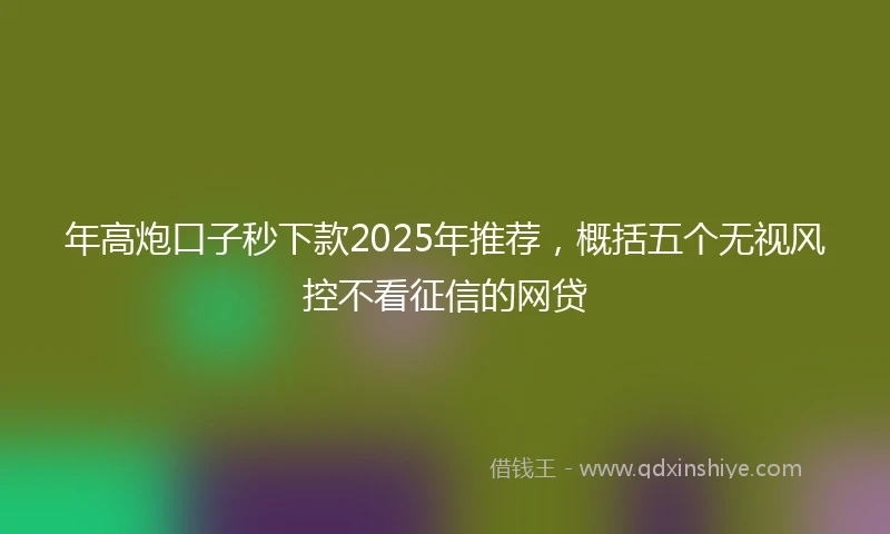 年高炮口子秒下款2025年推荐，概括五个无视风控不看征信的网贷