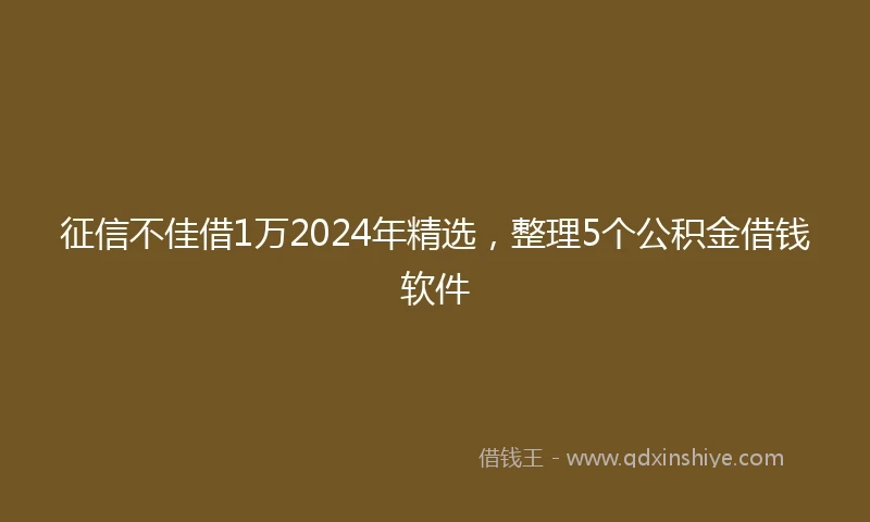 征信不佳借1万2024年精选，整理5个公积金借钱软件