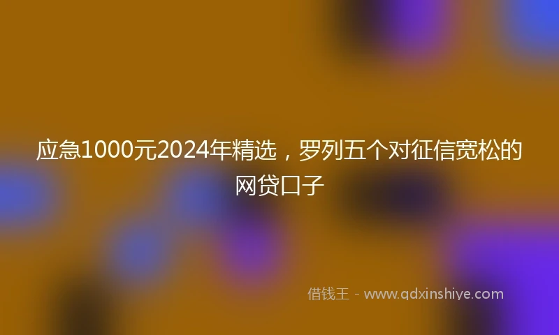 应急1000元2024年精选，罗列五个对征信宽松的网贷口子