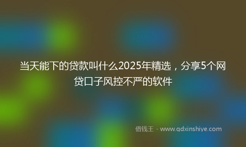 当天能下的贷款叫什么2025年精选，分享5个网贷口子风控不严的软件