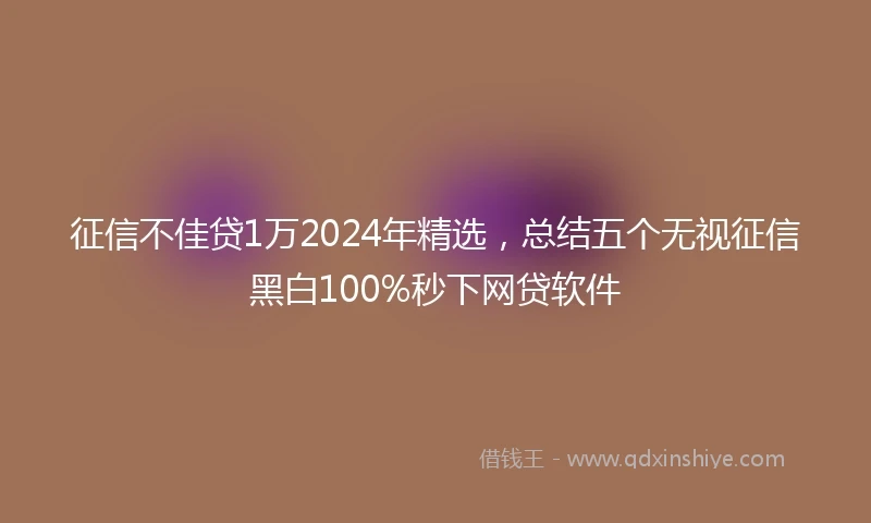 征信不佳贷1万2024年精选，总结五个无视征信黑白100%秒下网贷软件