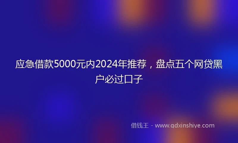 应急借款5000元内2024年推荐，盘点五个网贷黑户必过口子