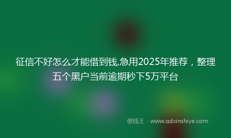 征信不好怎么才能借到钱,急用2025年推荐，整理五个黑户当前逾期秒下5万平台