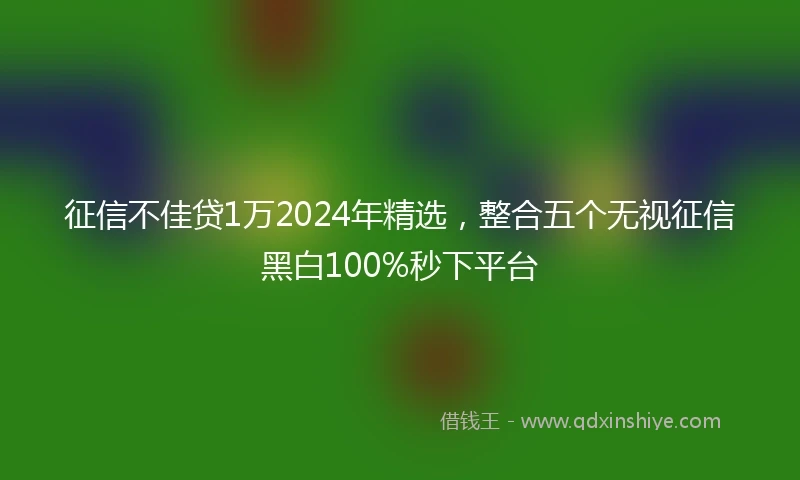 征信不佳贷1万2024年精选，整合五个无视征信黑白100%秒下平台
