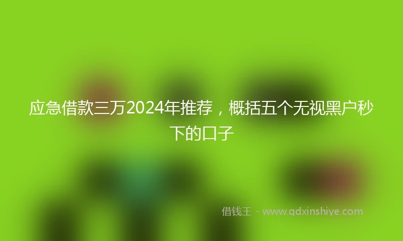 应急借款三万2024年推荐，概括五个无视黑户秒下的口子