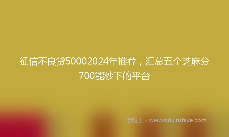 征信不良贷50002024年推荐，汇总五个芝麻分700能秒下的平台