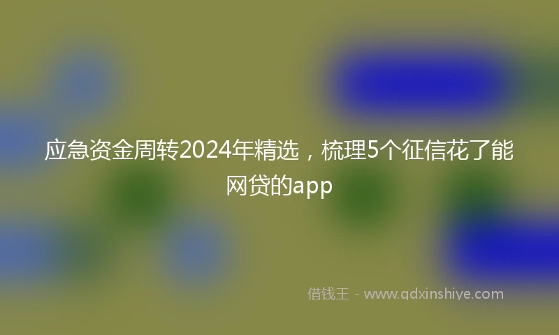 应急资金周转2024年精选，梳理5个征信花了能网贷的app